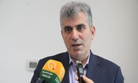 95 درصد هدفگذاری جوجه ریزی در استان گیلان محقق شد/ رتبه نخست استان گیلان در تشکیل زنجیره طیور